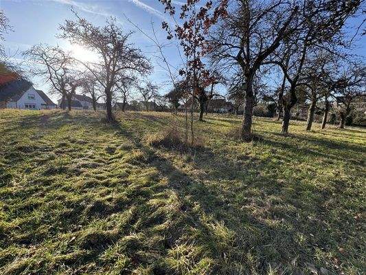Grundstück verfügt über zwei Zufahrten