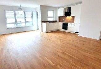 Wohnbereich mit offener Küche