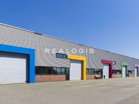 Pfungstadt Halle, Pfungstadt Hallenfläche