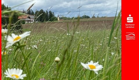 Kröning Bauernhöfe, Landwirtschaft, Kröning Forstwirtschaft