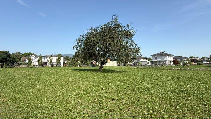 Blick Richtung Nordwest