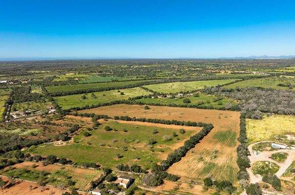 130_LH088CN R.Web 016