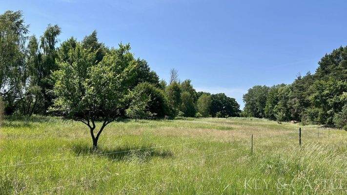 Weidefläche direkt gegenüber 