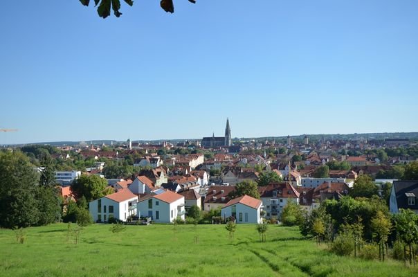 Dom-u. Altstadtblick