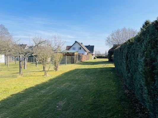 Blick in den Garten
