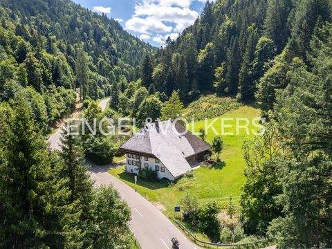 Schonach Häuser, Schonach Haus kaufen