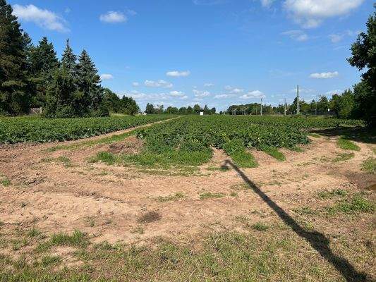 Ansicht von der Straße 