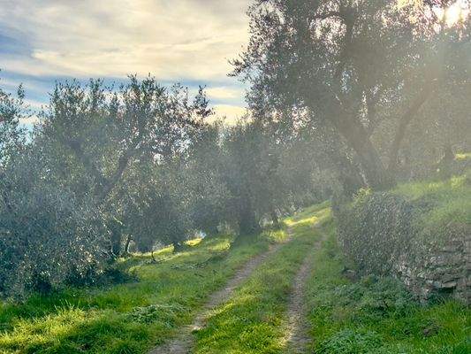 DA1013_08 TERRA ITALIA IMMOBILIEN_REAL ESTATE_FOR 