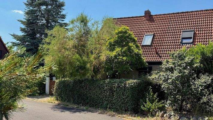 Natürlicher Sichtschutz