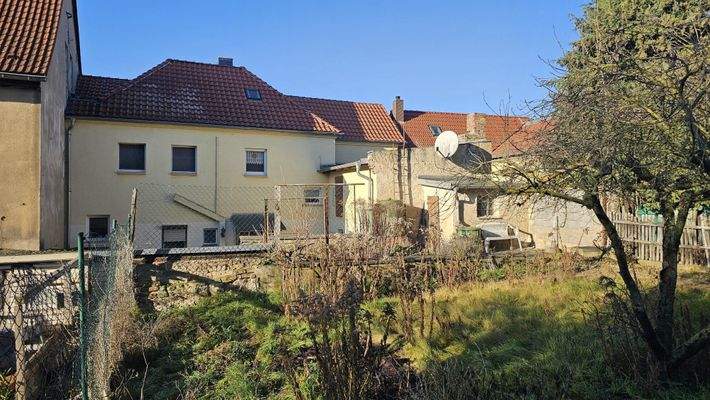 Blick aus dem Garten