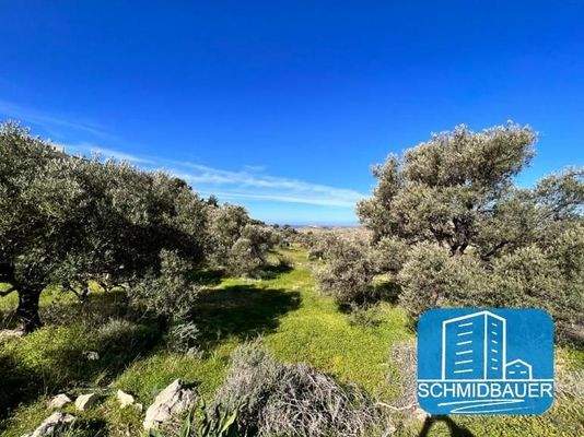 Kreta, Kamilari: Grundstück in traumhafter Lage mit Meer- und Bergblick zu verkaufen