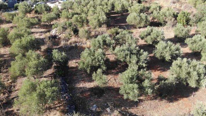 Kreta, Xirosterni: Grundstück in ruhiger Lage mit Berg- und Meerblick zu verkaufen
