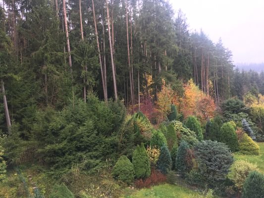 Ausblick vom Balkon