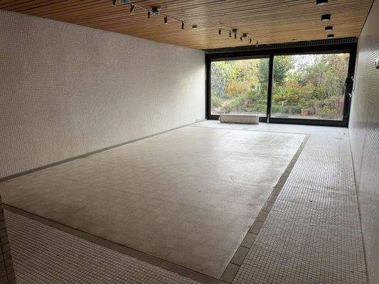 Schwimmbad im Gartengeschoss