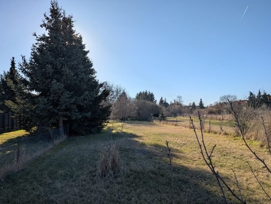 Garten am Haus