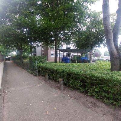 1298 Weg zu Kleingärten hinter dem Haus