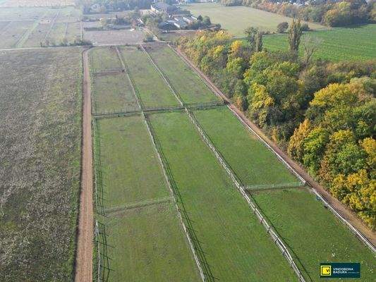 Trainingsbahn mit Koppel 2