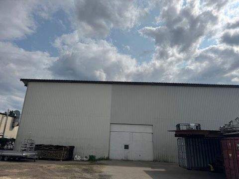 Wandlitz Halle, Wandlitz Hallenfläche