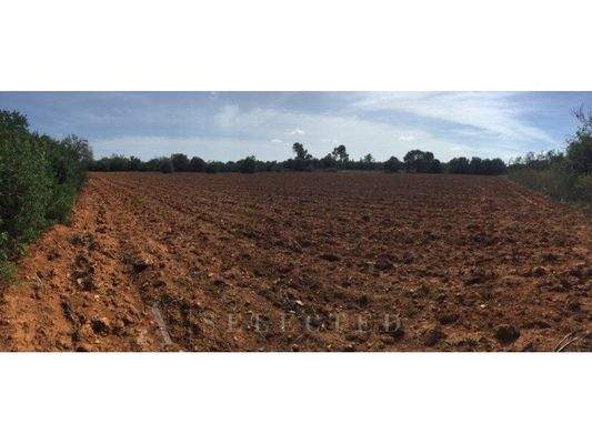 Rustic plot for urban development_02