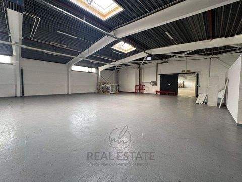 Hamburg Halle, Hamburg Hallenfläche