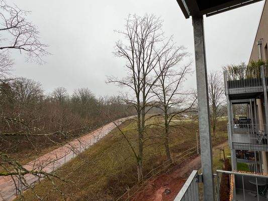 Groß (IMG_1556).jpeg