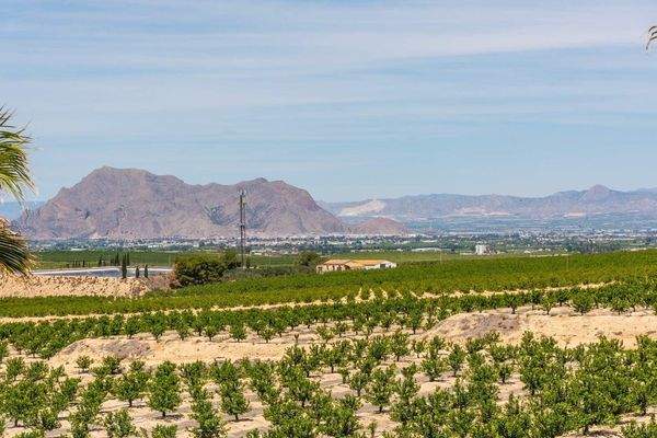 Oasis Villas Sea Model 51