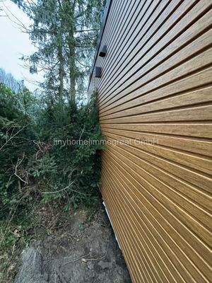 Rückseite mit Busch