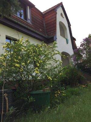 Hausdetail im Frühling