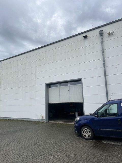 Wasserliesch Halle, Wasserliesch Hallenfläche