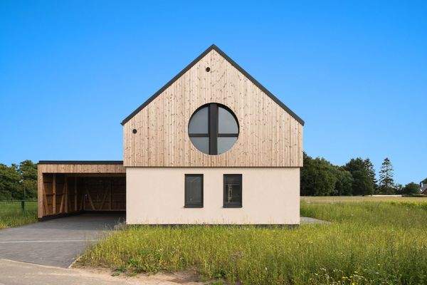 Blauer Himmel Petunienstieg