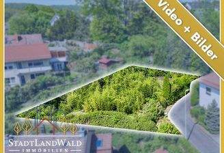 Titelbild_Expose_BP_Lemberg_Schafalm 14_Linie