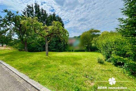 Freudenberg / Rauenberg Grundstücke, Freudenberg / Rauenberg Grundstück kaufen