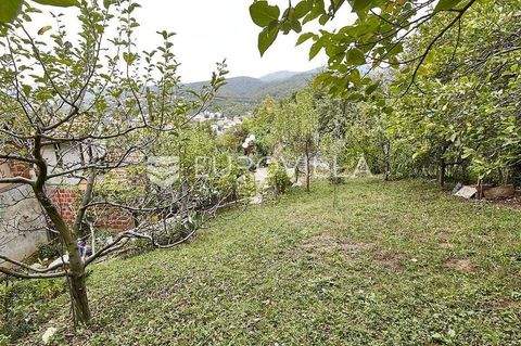 Gracani Bauernhöfe, Landwirtschaft, Gracani Forstwirtschaft