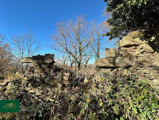 Baugrundstück mit Ruine