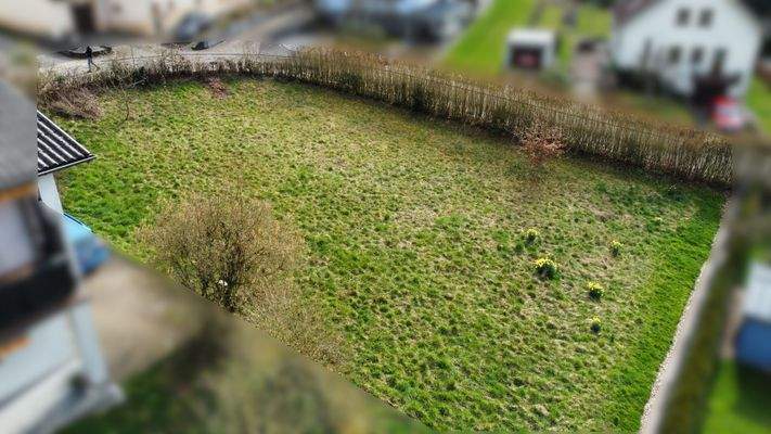 02 Seitenansicht.jpg