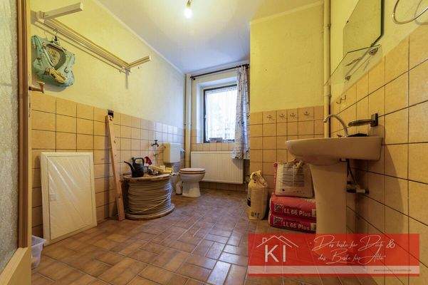 EG Tageslichtbadezimmer (Dusche/ WC)