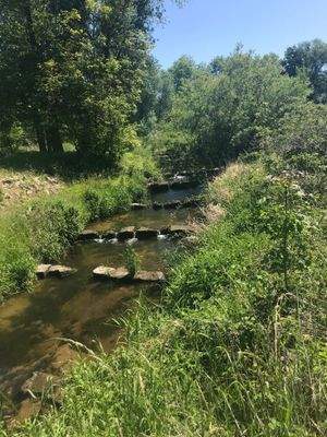 Wohnpark in mitten der Natur