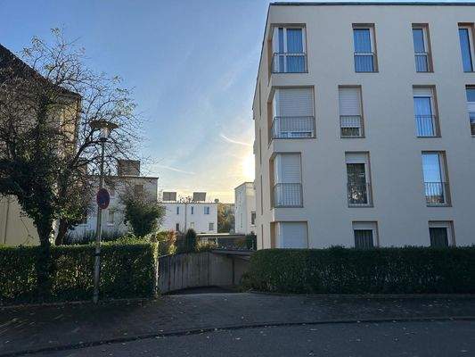 WhatsApp Image 2025-11-03 at 09.40.40(1).jpeg