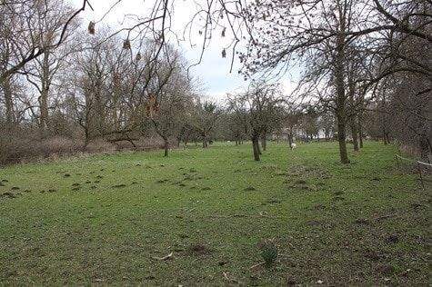 Ende Grundstück zum Haus