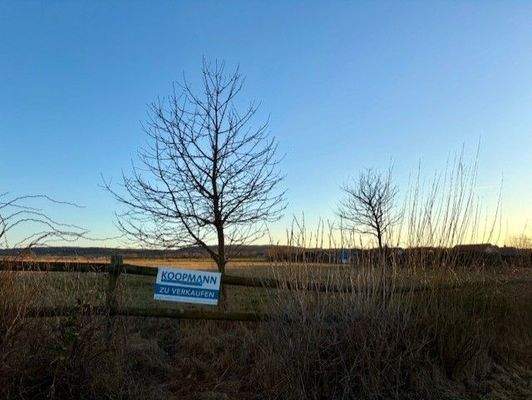 9b803e04-77af-426c-bde6-704f6d7e5f42.jfif