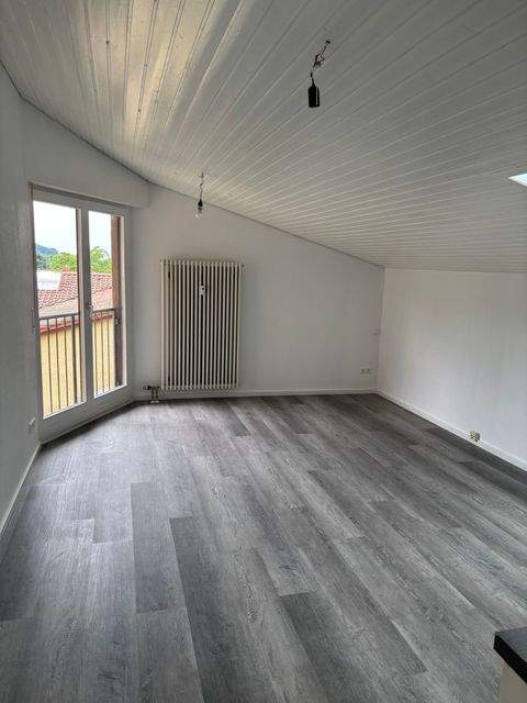 Freiburg im Breisgau Wohnungen, Freiburg im Breisgau Wohnung mieten