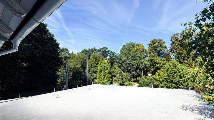 Blick zur Radstrecke, Wald