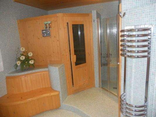 Sauna and Master Bathroom