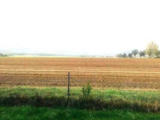 Ausblick von der Terrasse.jpg