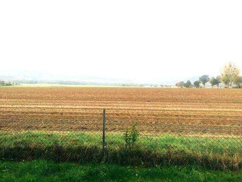 Springe Wohnungen, Springe Wohnung mieten