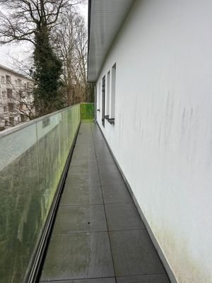 113F41E9-7251-4695-8126-EAA23E6DE7E1.jpeg