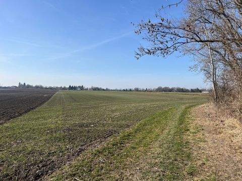 Ismaning Bauernhöfe, Landwirtschaft, Ismaning Forstwirtschaft