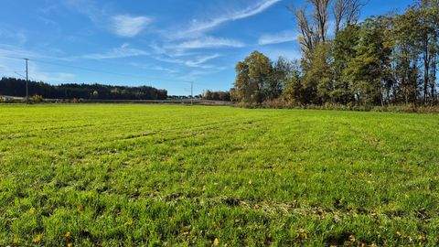 Markt Indersdorf Bauernhöfe, Landwirtschaft, Markt Indersdorf Forstwirtschaft