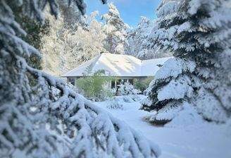 Gartenseite Terrasse