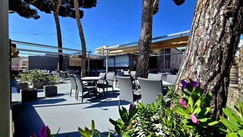 Cala Ratjada Gastronomie, Pacht, Gaststätten